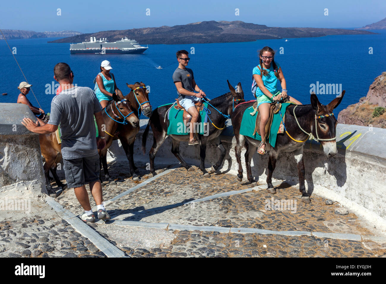 Santorini donkeys carrying tourists on the road linking the port to the town of Fira Greek Island, Cyclades, Santorini Greece tourism Stock Photo