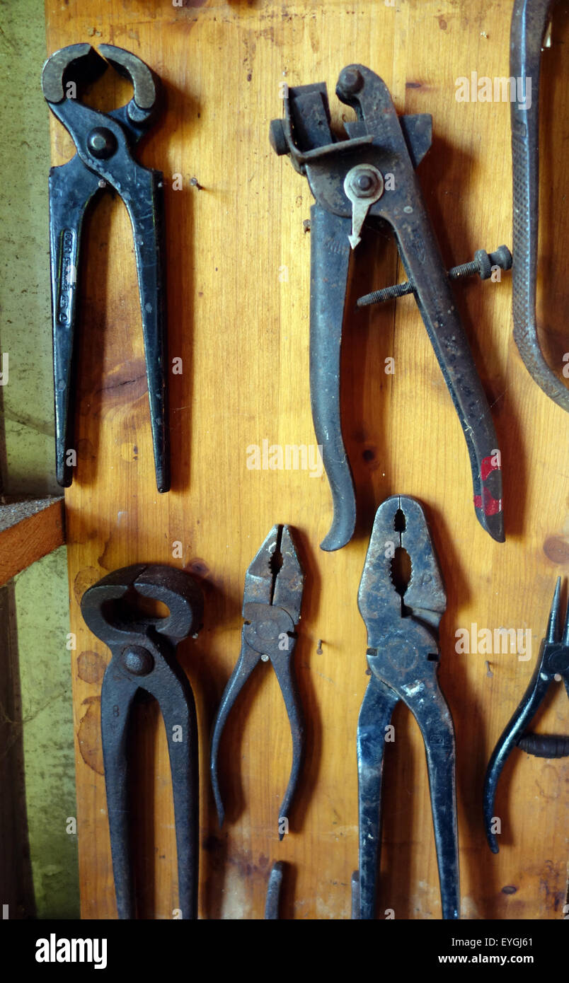 Briescht, Germany, different pliers hanging on a wall Stock Photo