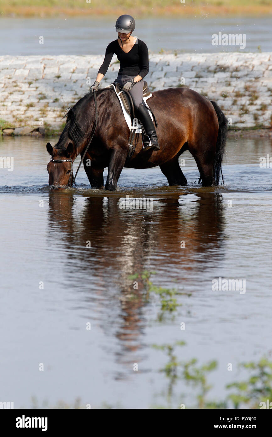 Graditz, Germany, rider stands with her horse in the same Stock Photo