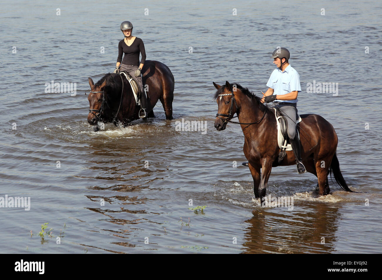 Graditz, Germany, riders stand with their horses in the river Elbe Stock Photo