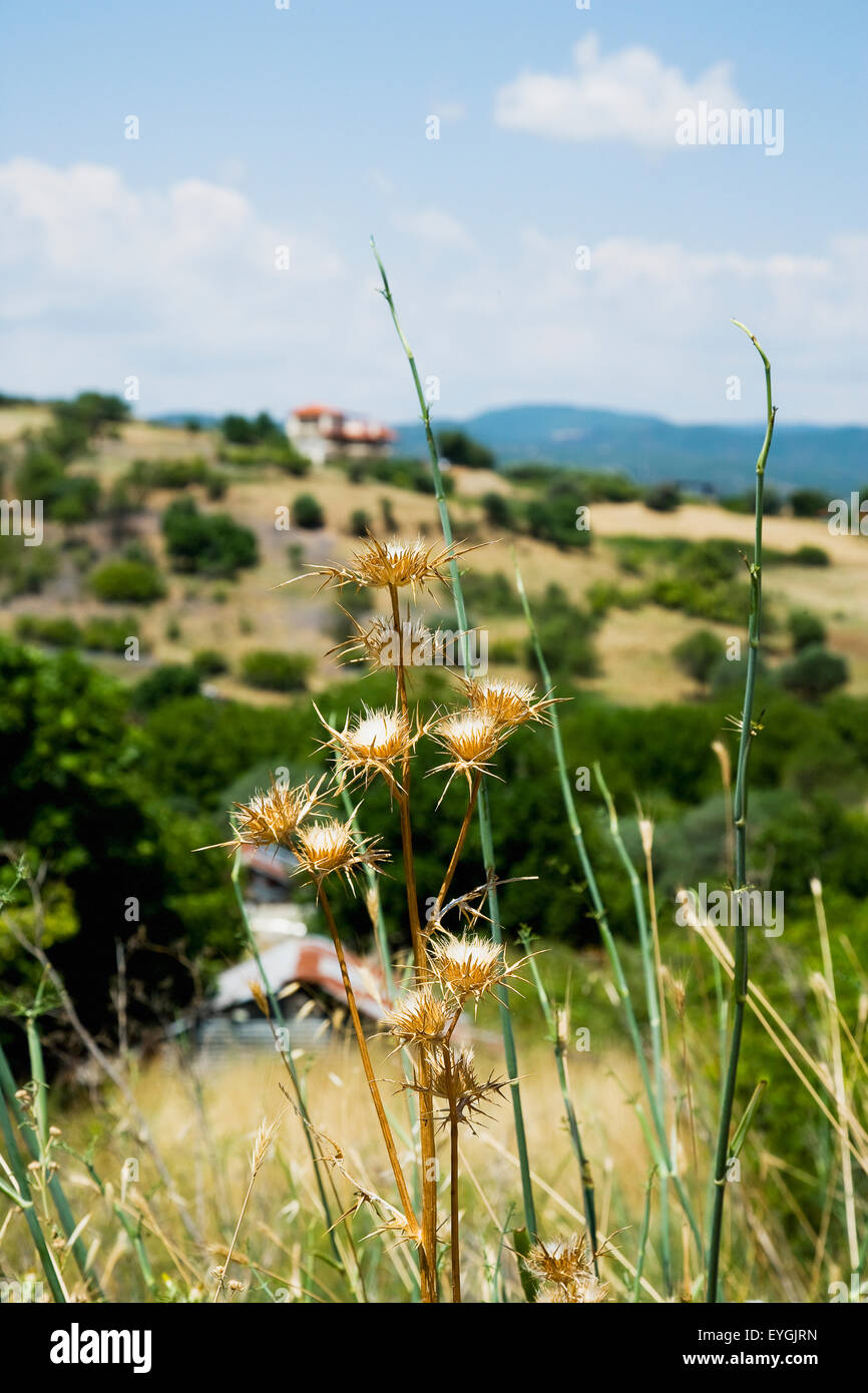 Greece, Halkidiki, Idyllic landscape; Ierissos Stock Photo
