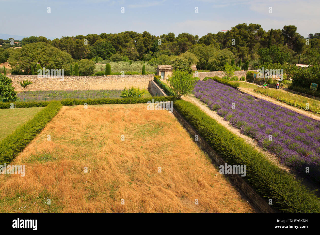 Looking down from his bedroom onto  the garden and field that fasinated Van Gogh at Maison de Sante Saint Paul Monastery at Saint Remy. Stock Photo