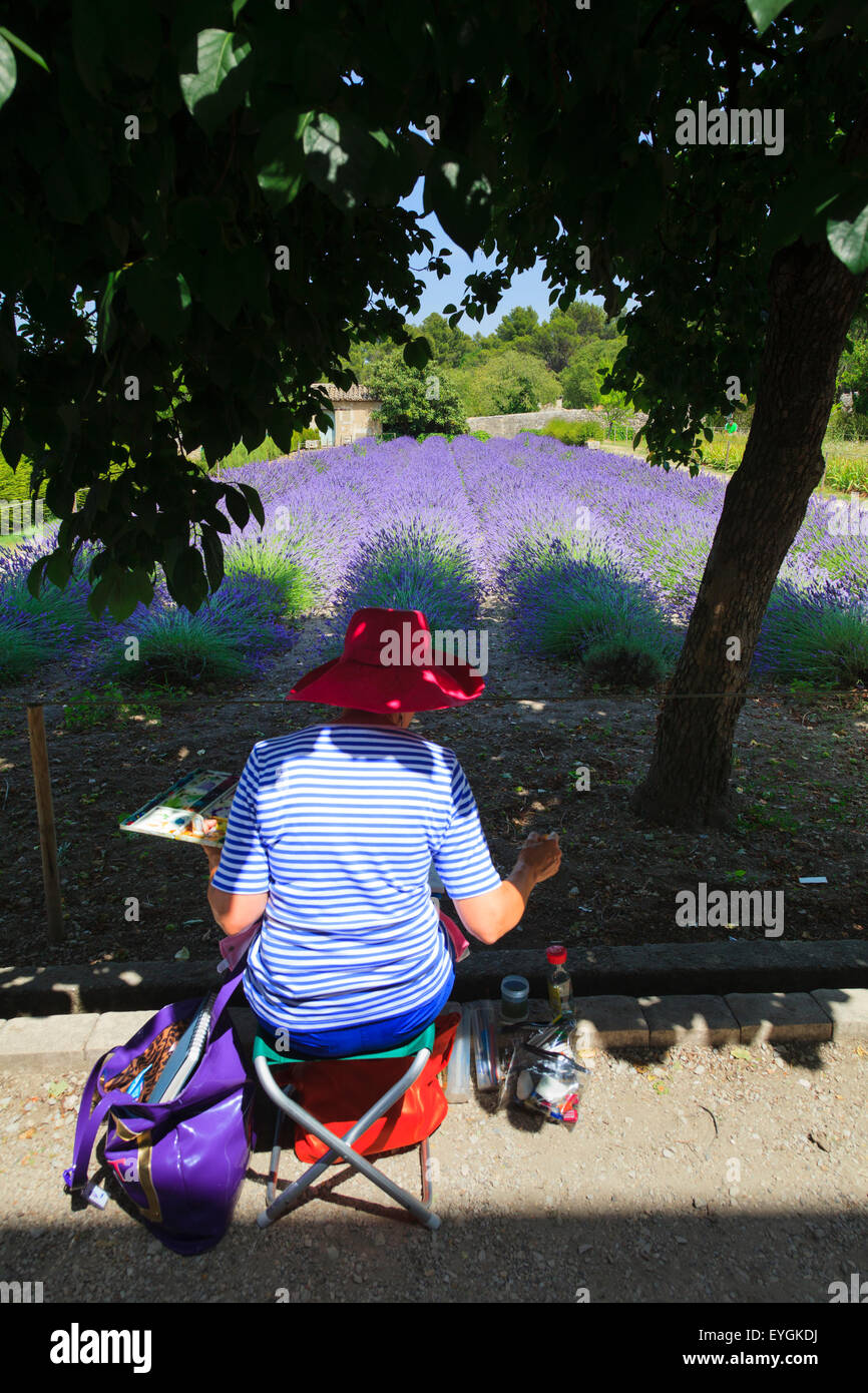 An artist paints the lavender in the garden at Maison de Sante Saint Paul Monastery at Saint Remy Stock Photo