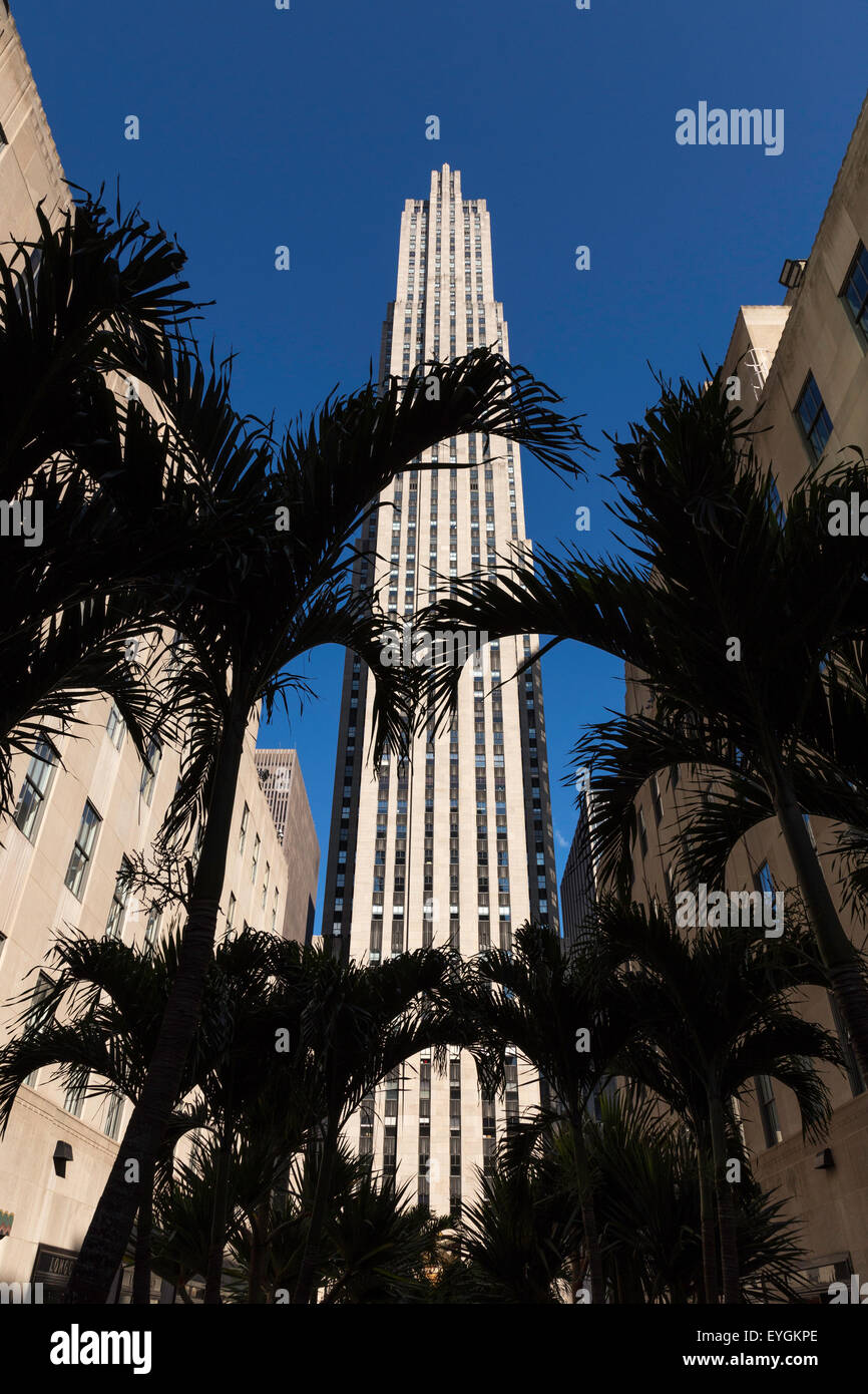 Palm Trees in The Channel Gardens Looking up at 30 Rock, Rockefeller Center, NYC, USA Stock Photo