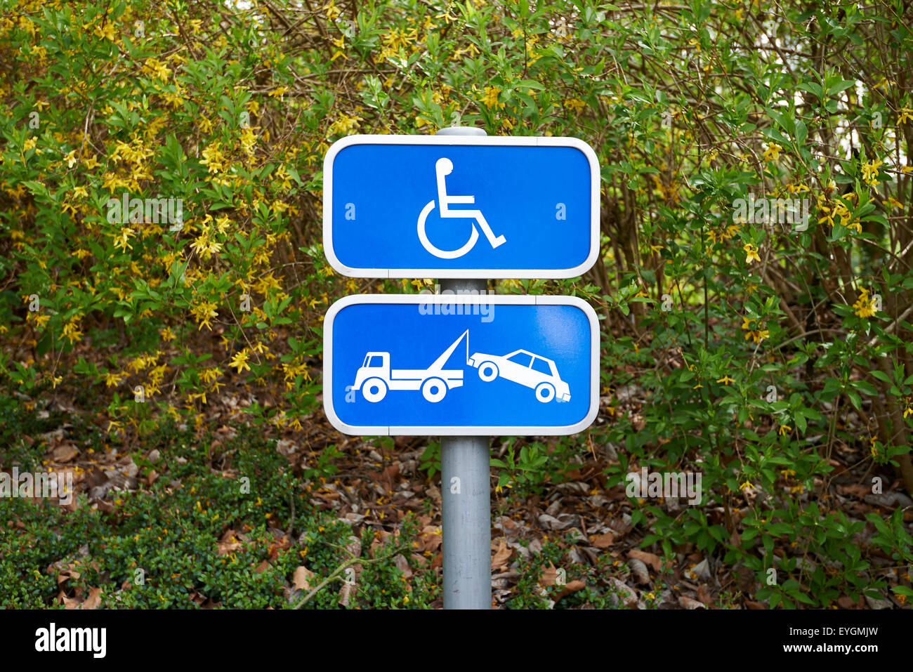 A handicap parking sign and car removal sign on green background Stock Photo