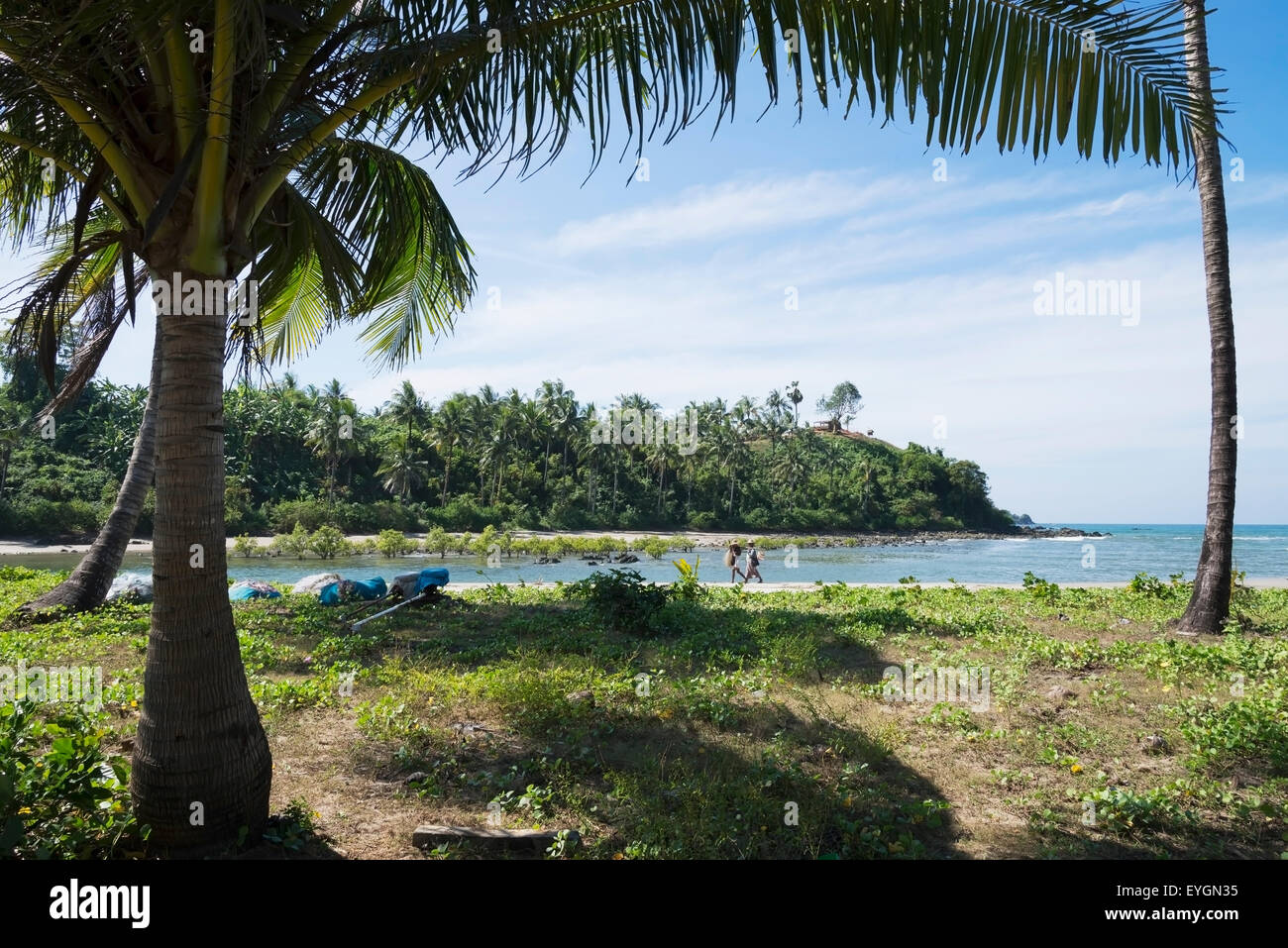 Myanmar, Sea cove with mangrove and coconut trees; Irrawaddyi division ...