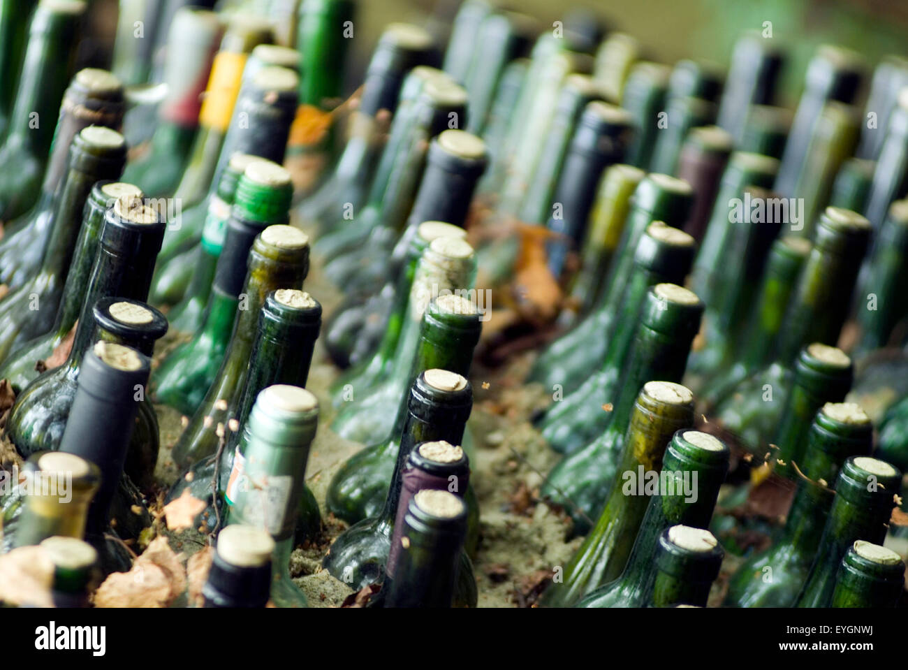 Wine Bottles as wall building material Stock Photo