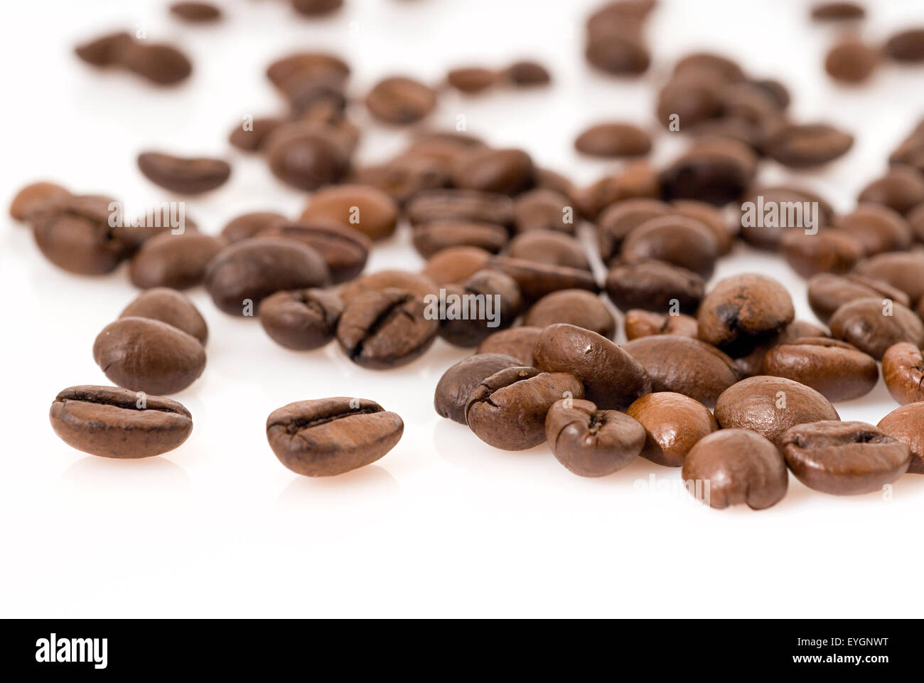Coffee beans studio shot macro close-up Stock Photo