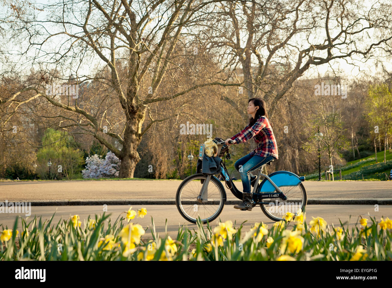 hyde park bikes