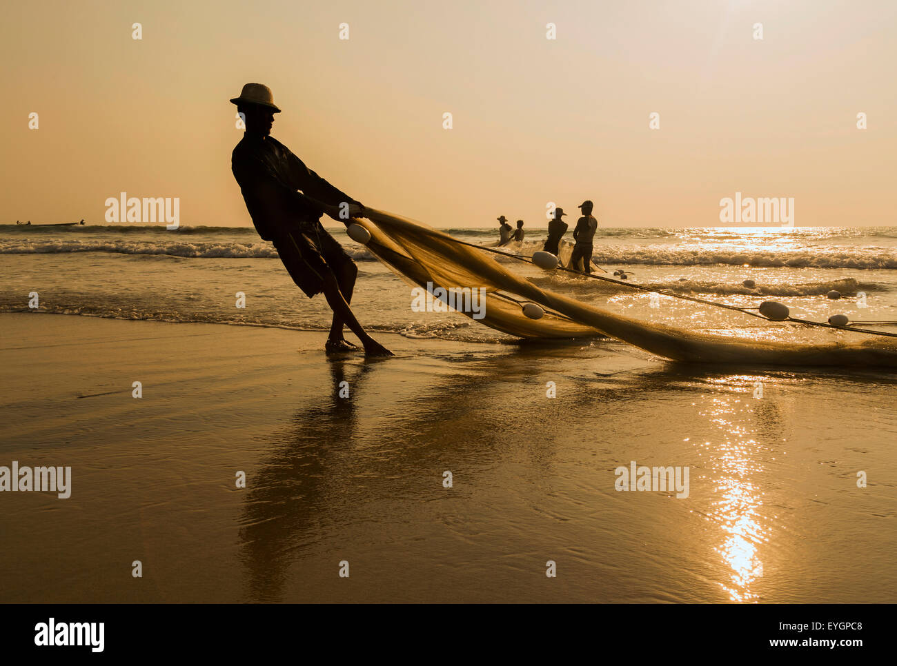 A group of fishermen pulling nets from the sea, in gold-colored sunset Stock Photo
