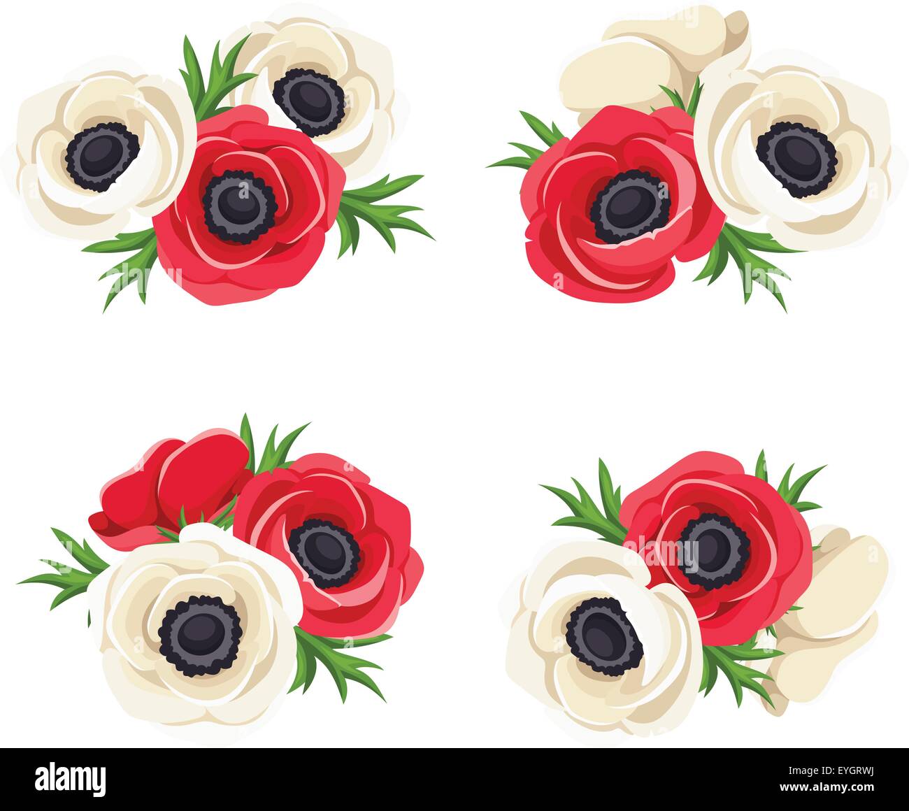 Red and white anemone flowers. Vector illustration Stock Vector Image & Art Alamy
