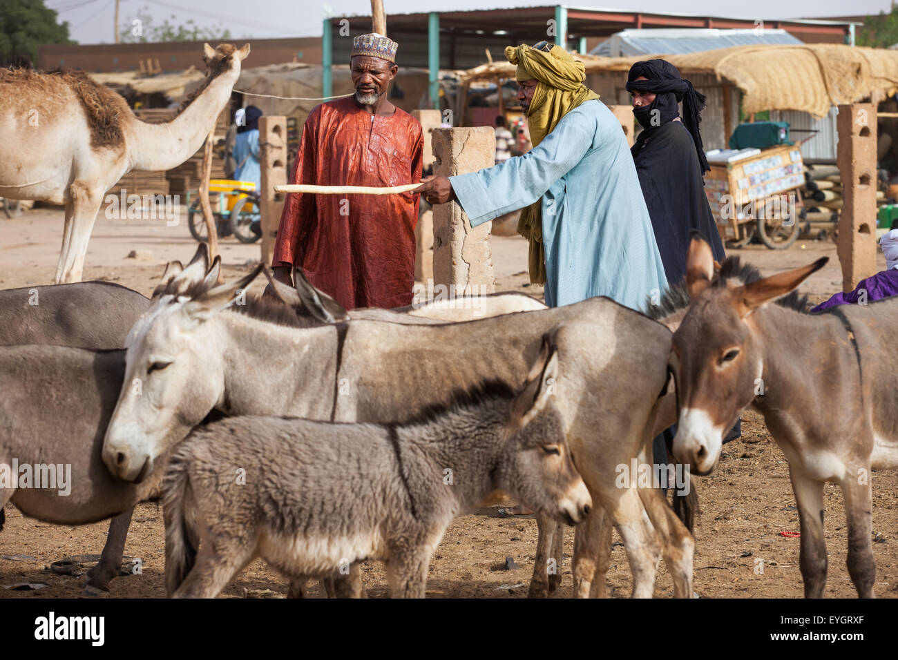 Niger, Housa man barting with Tuareg livestock trader at Agadez's livestock market; Agadez Stock Photo