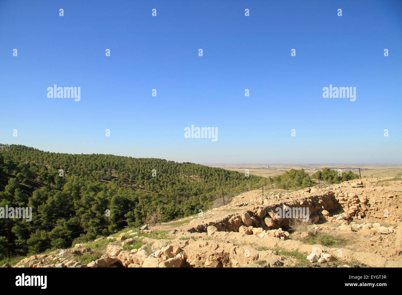 Israel, Shephelah, a view of Lahav Forest from Tel Halif site of biblical Rimmon Stock Photo