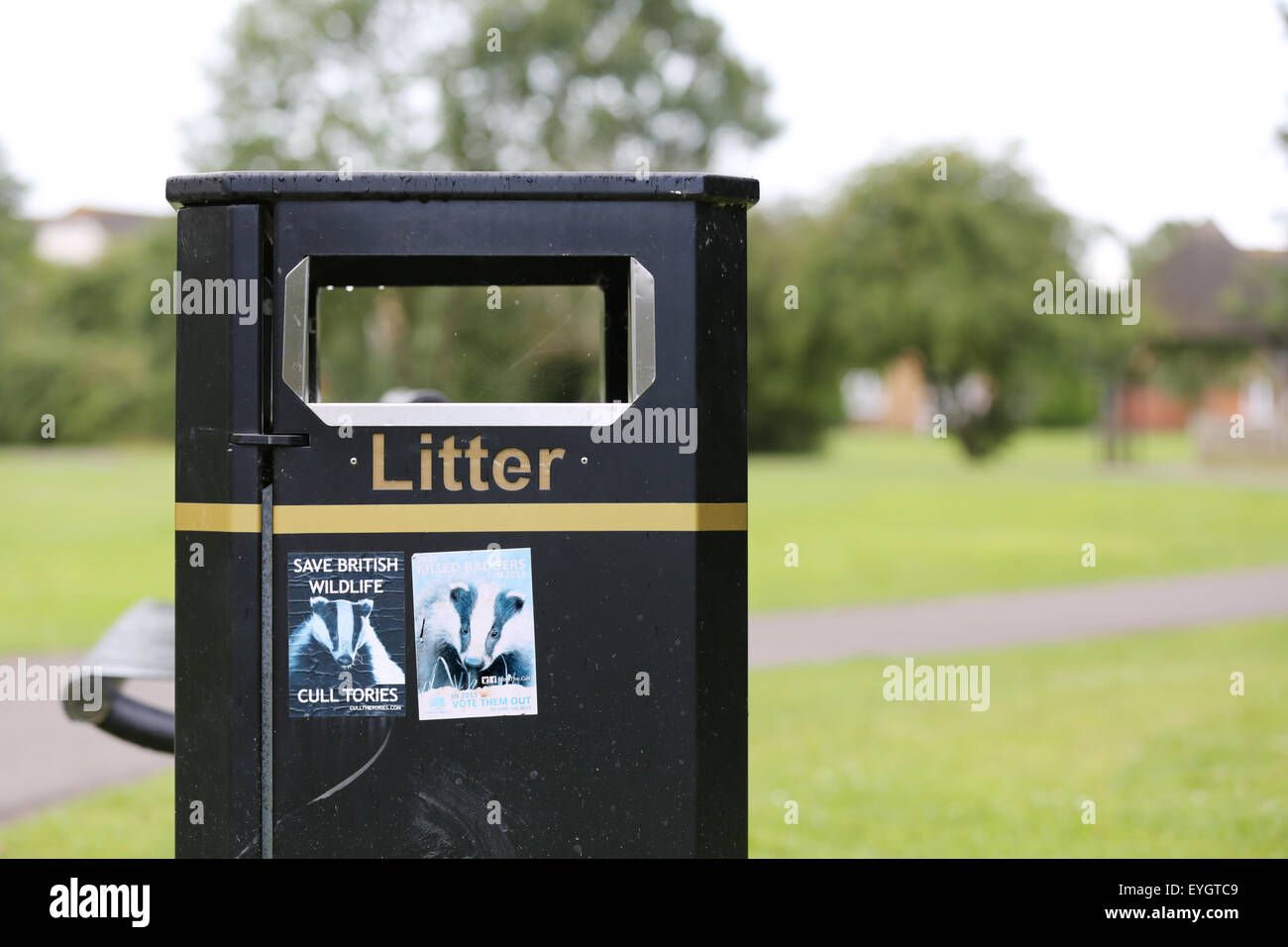 Two anti Badger cull posters attached to a litter bin by protesters protesting against recent badger culls in the south west of england Stock Photo