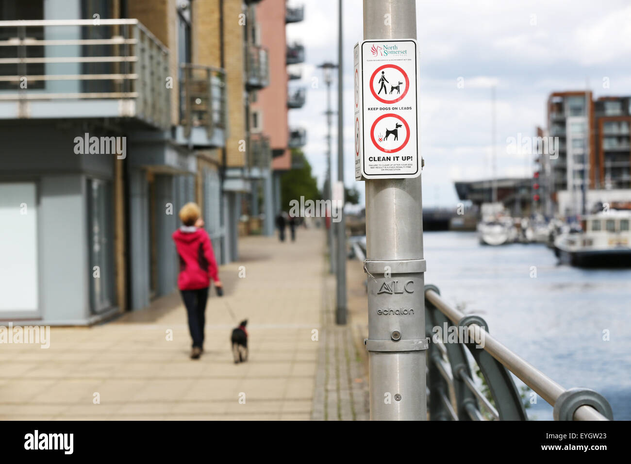 A public no 'Dog Messing' and 'Dogs on Lead' sign on lamp post in city area, a dog walker with a dog on a lead has just passed the sign Stock Photo