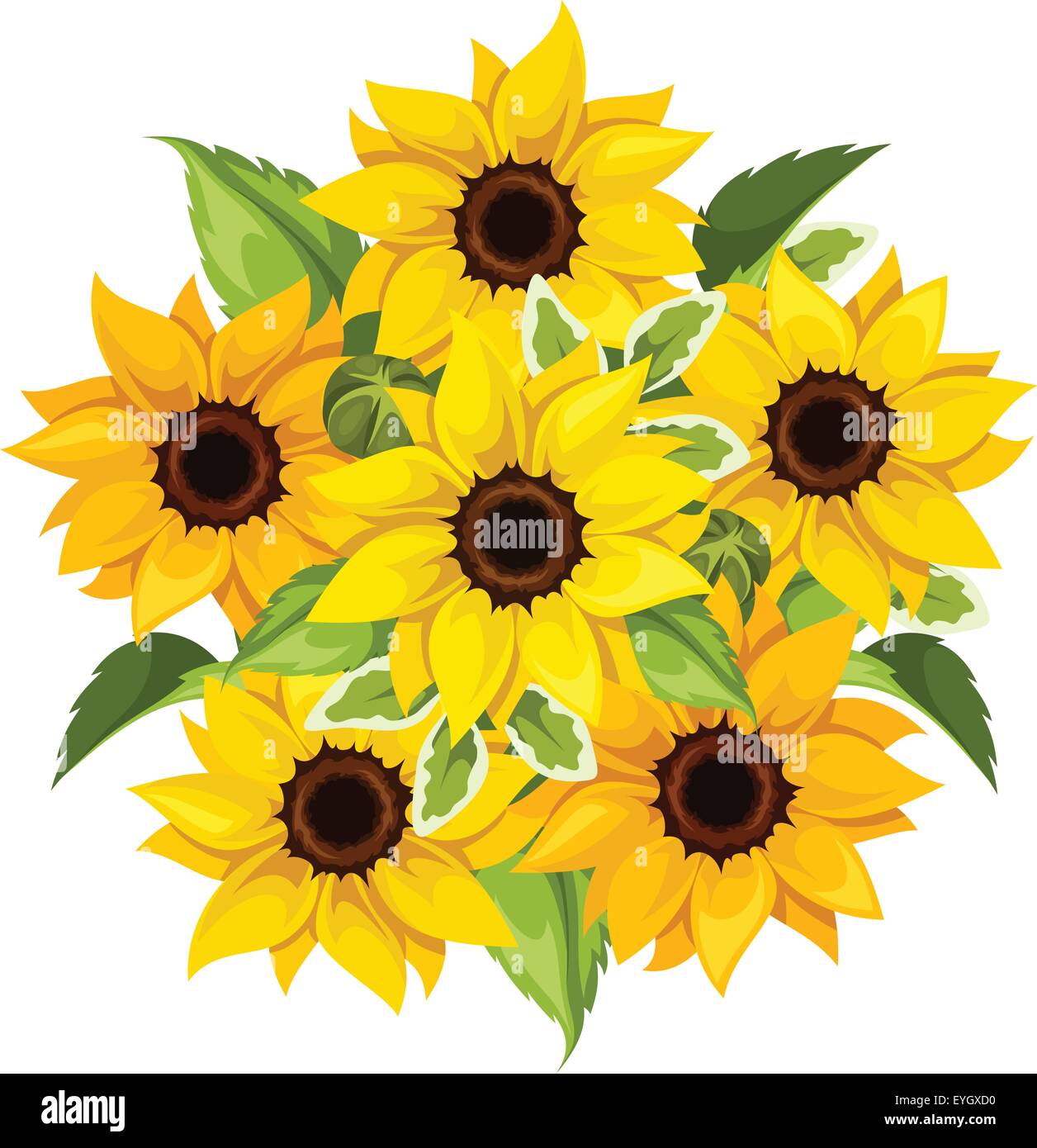 Vector bouquet of sunflowers. Vector illustration Stock ...