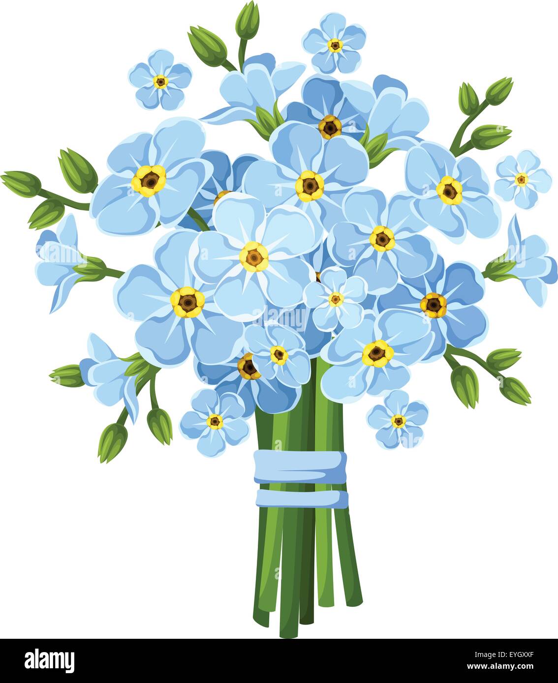 Set of forget me not flower colorful Royalty Free Vector