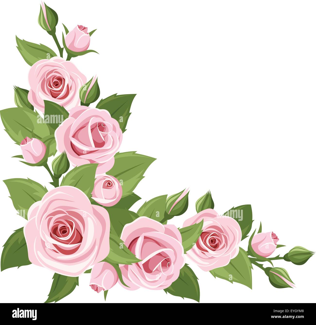 Pink roses. Vector corner background Stock Vector Image & Art - Alamy