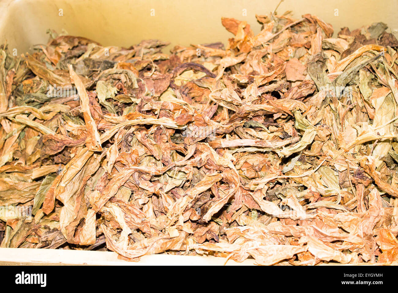 unmanufactured tobacco Unmanufactured hi-res stock photography and images