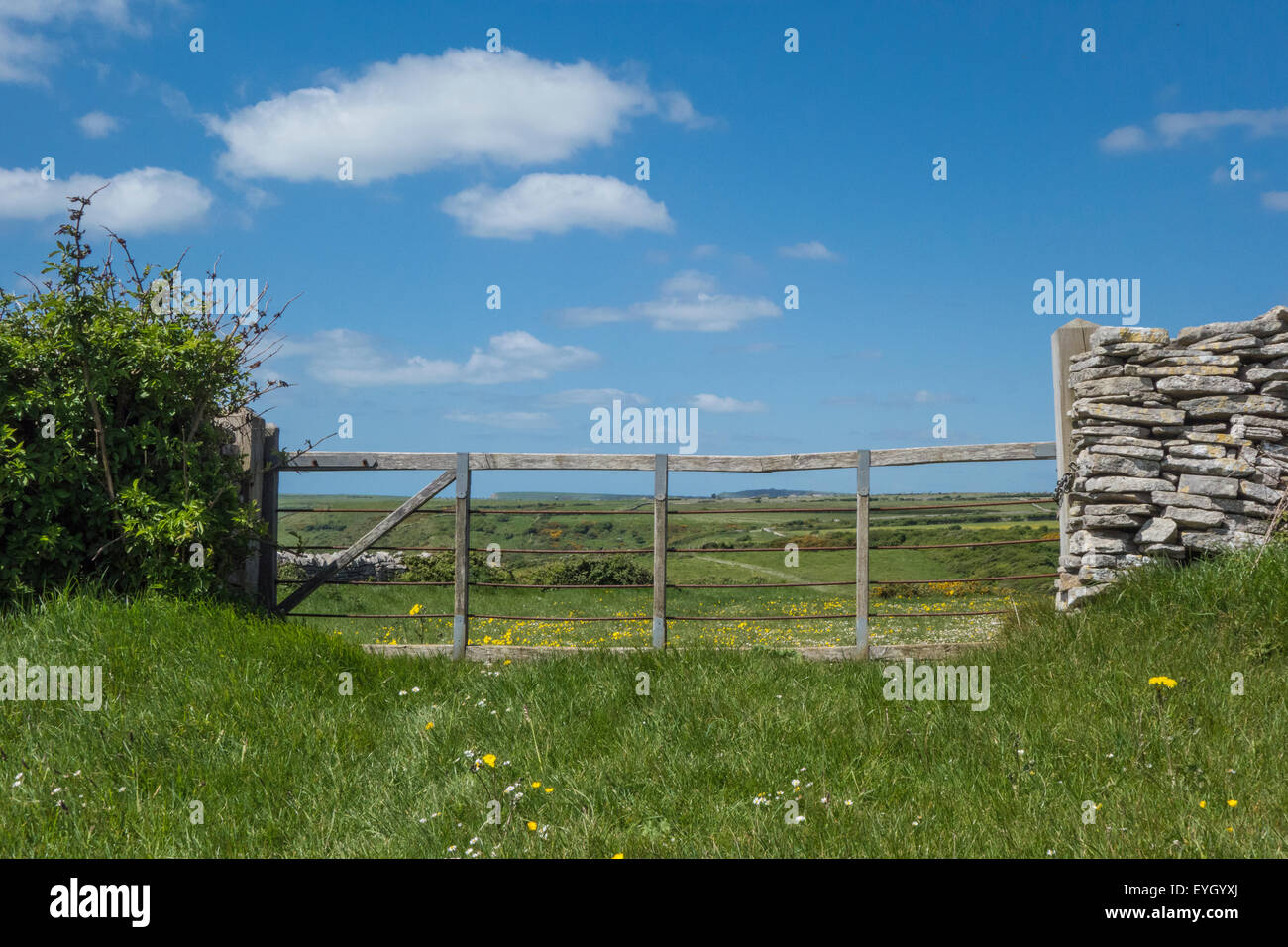 Gate way with Dorset Gate and Dorset coastline in background, near Dancing Ledge, Dorset, England Stock Photo