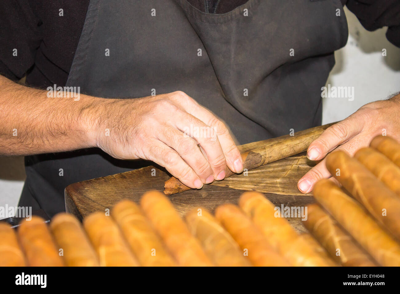 A local Spanish man demonstratesa group of tourists how to roll and wrap hand made cigars. Stock Photo