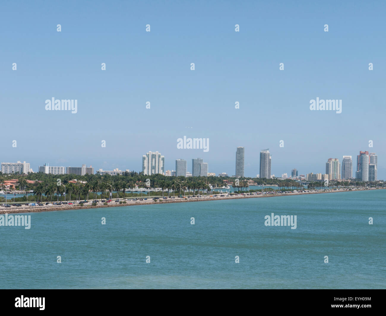 Sunny Bunnies High Resolution Stock Photography and Images - Alamy