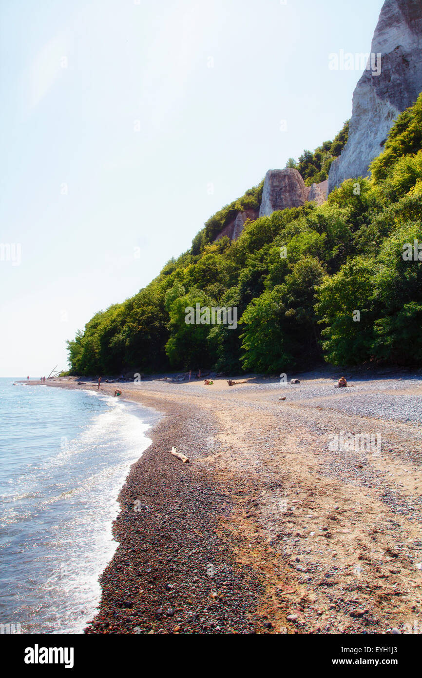 Chalk coast tree jasmund hi res stock photography and images Alamy Chalk coast tree jasmund hi res stock photography and images Alamy