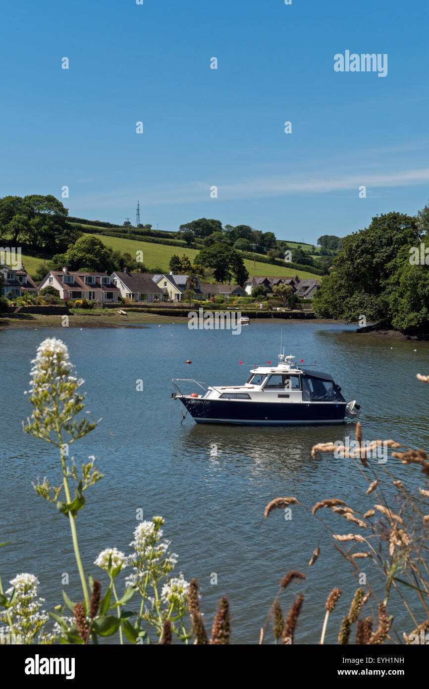 The Attractive Kingsbridge Estuary, close to the Town of Kingsbridge