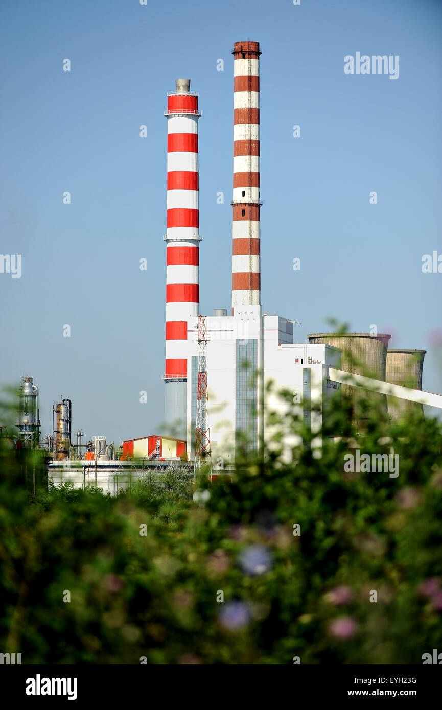 Industrial landscape with petrochemical plant seen through the bushes Stock Photo