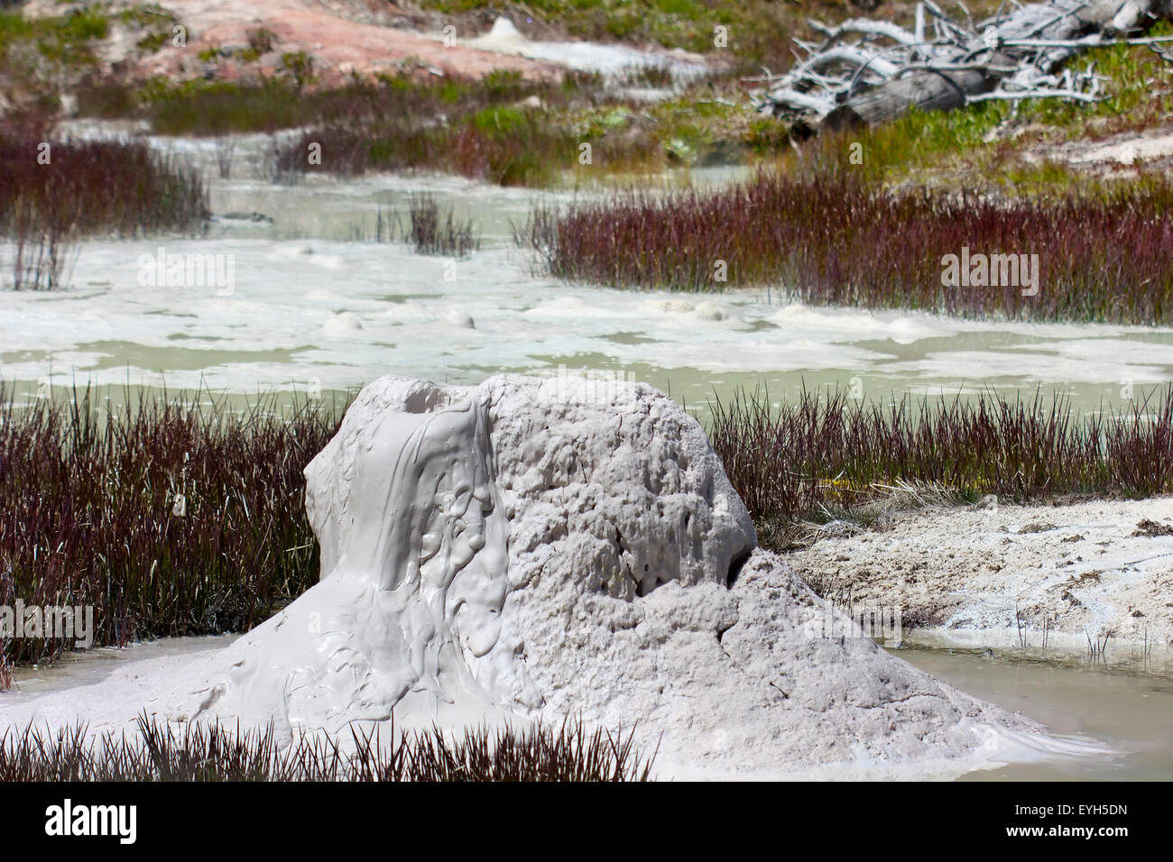 A Mud Cone at the Thumb Paint Pots at West Thumb Geyser Basin in Yellowstone Stock Photo