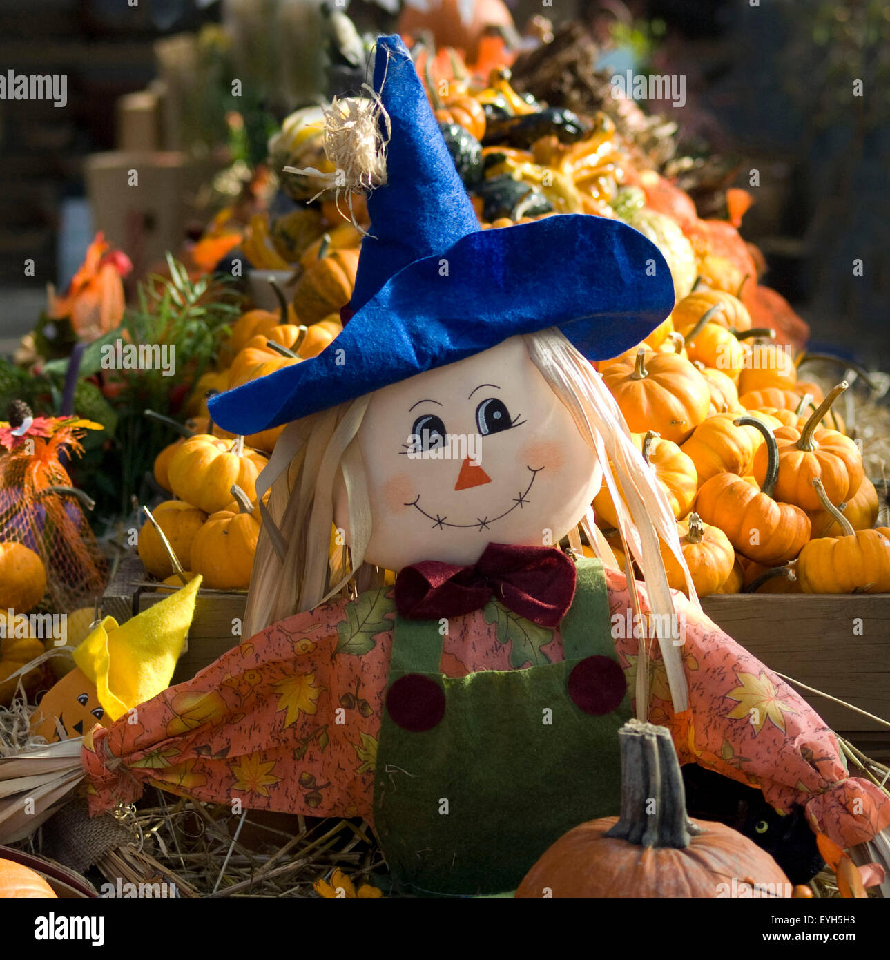 Happy smiling Scarecrow and Pumpkins at the local market, Autumn basket cute decoration face field happy halloween season scarecrow smiling orange Stock Photo