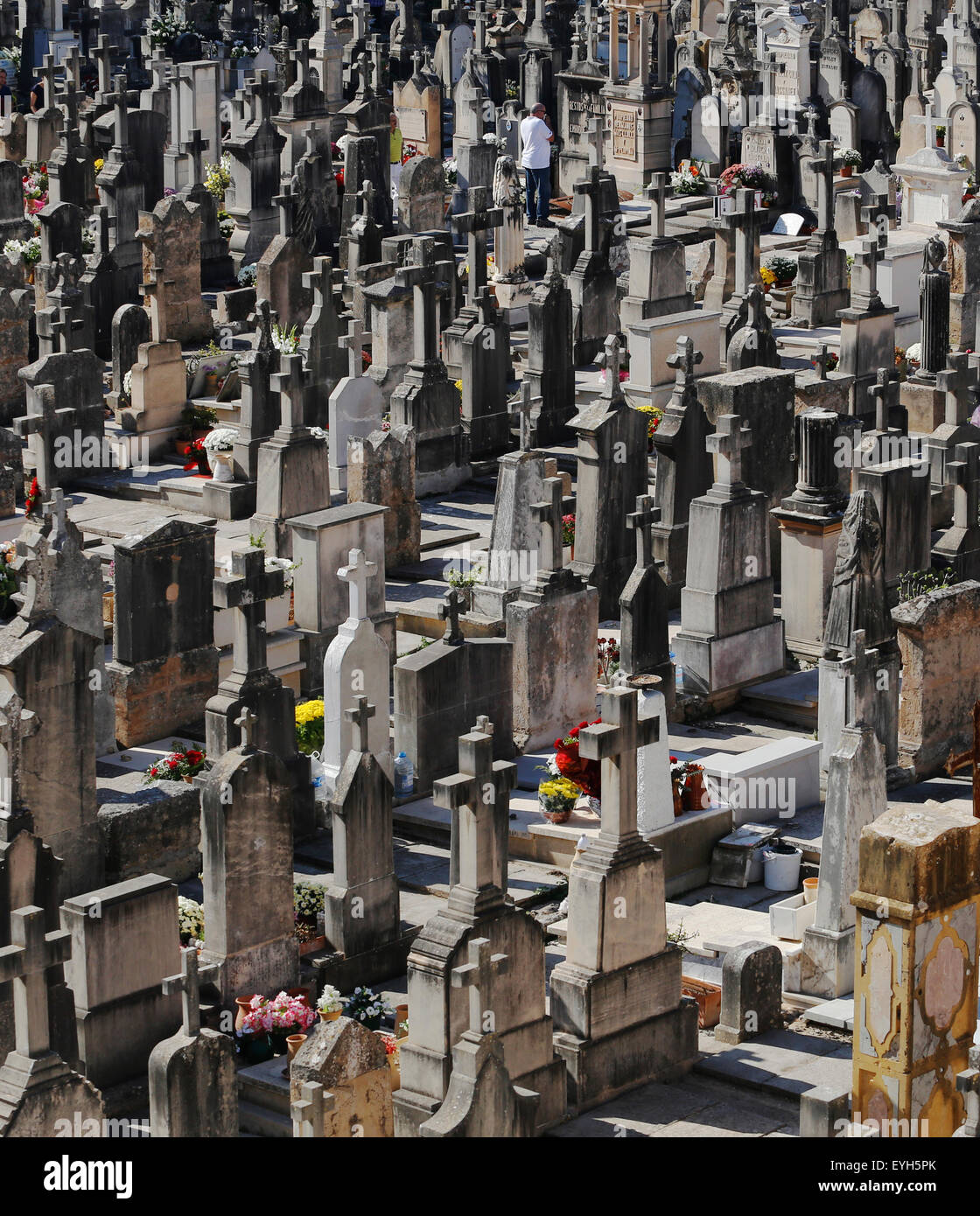 Graves in a cemetery in the Spanish island of Majorca Stock Photo Alamy