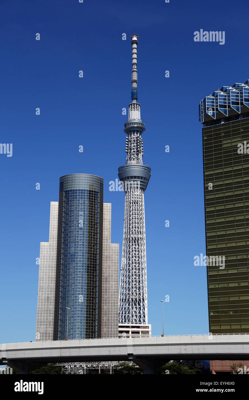 City skyline of Sumeda with the Tokyo Skytree Tower, Tokyo, Japan Stock Photo