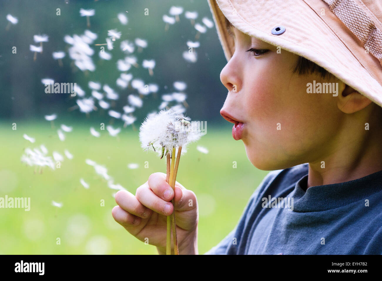 Boy Blowing Flower Off A Mechanical Handcrank Mixer High-Res Stock Photo -  Getty Images