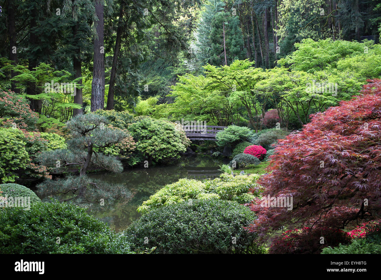 Japanese Garden in Portland, Oregon Stock Photo