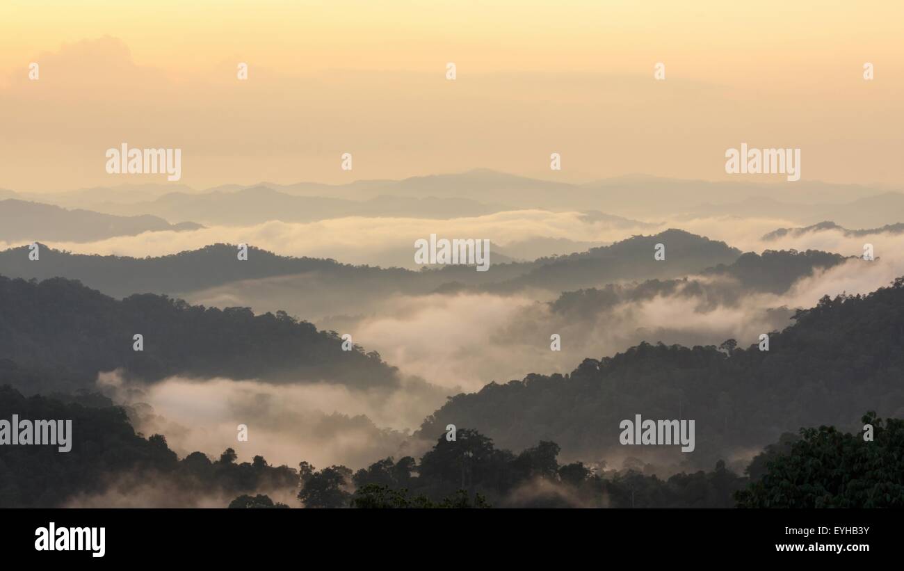 Beautiful tropical mountain mist in rain forest, Thailand. Stock Photo