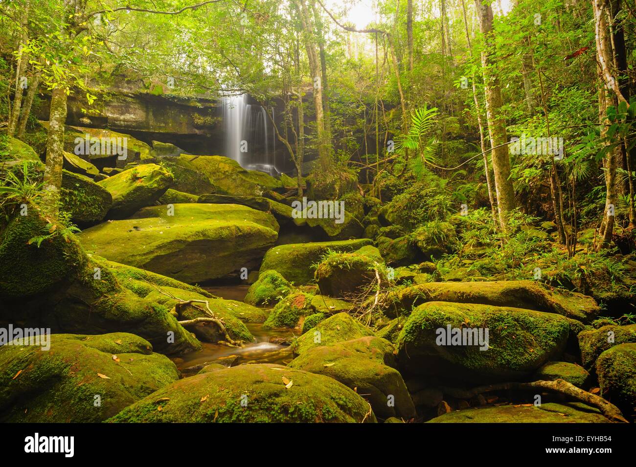 Beautiful cascade falls over mossy rocks in tropical forest, Thailand. Stock Photo