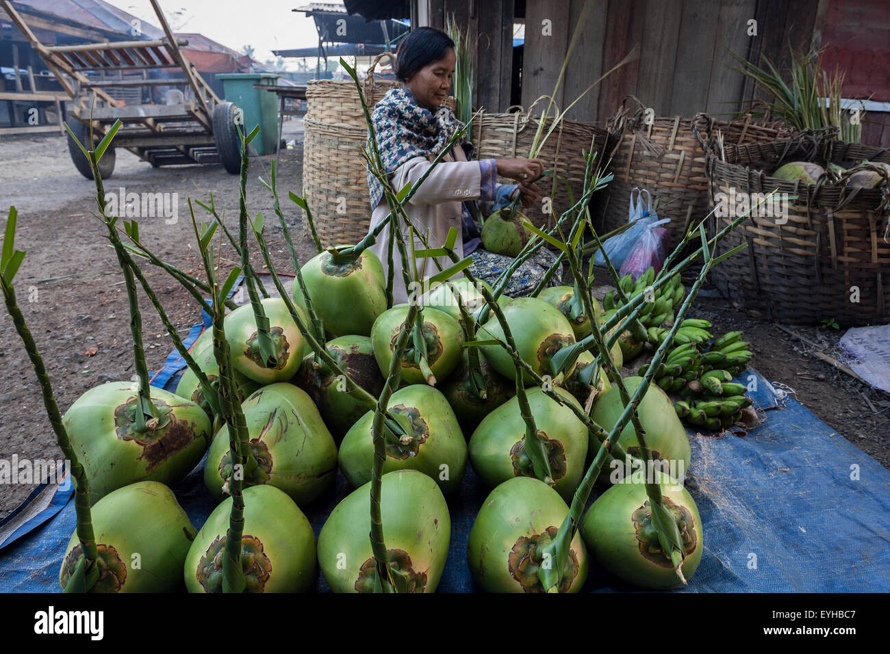 Local woman selling coconuts on the market in Nyaungshwe, Shan State, Myanmar Stock Photo