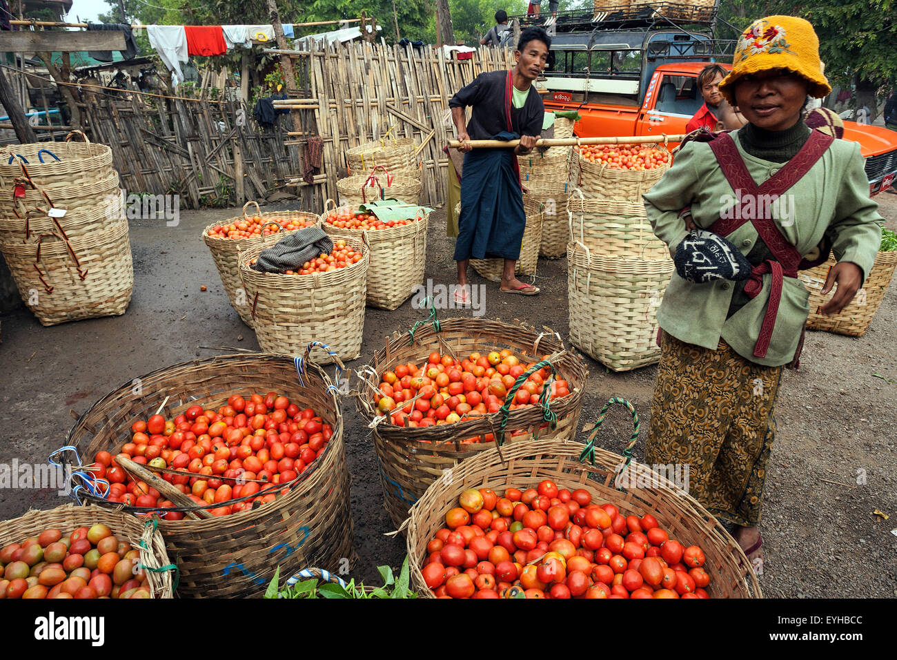 Tomatoes in baskets, market in Nyaungshwe, Shan State, Myanmar Stock Photo