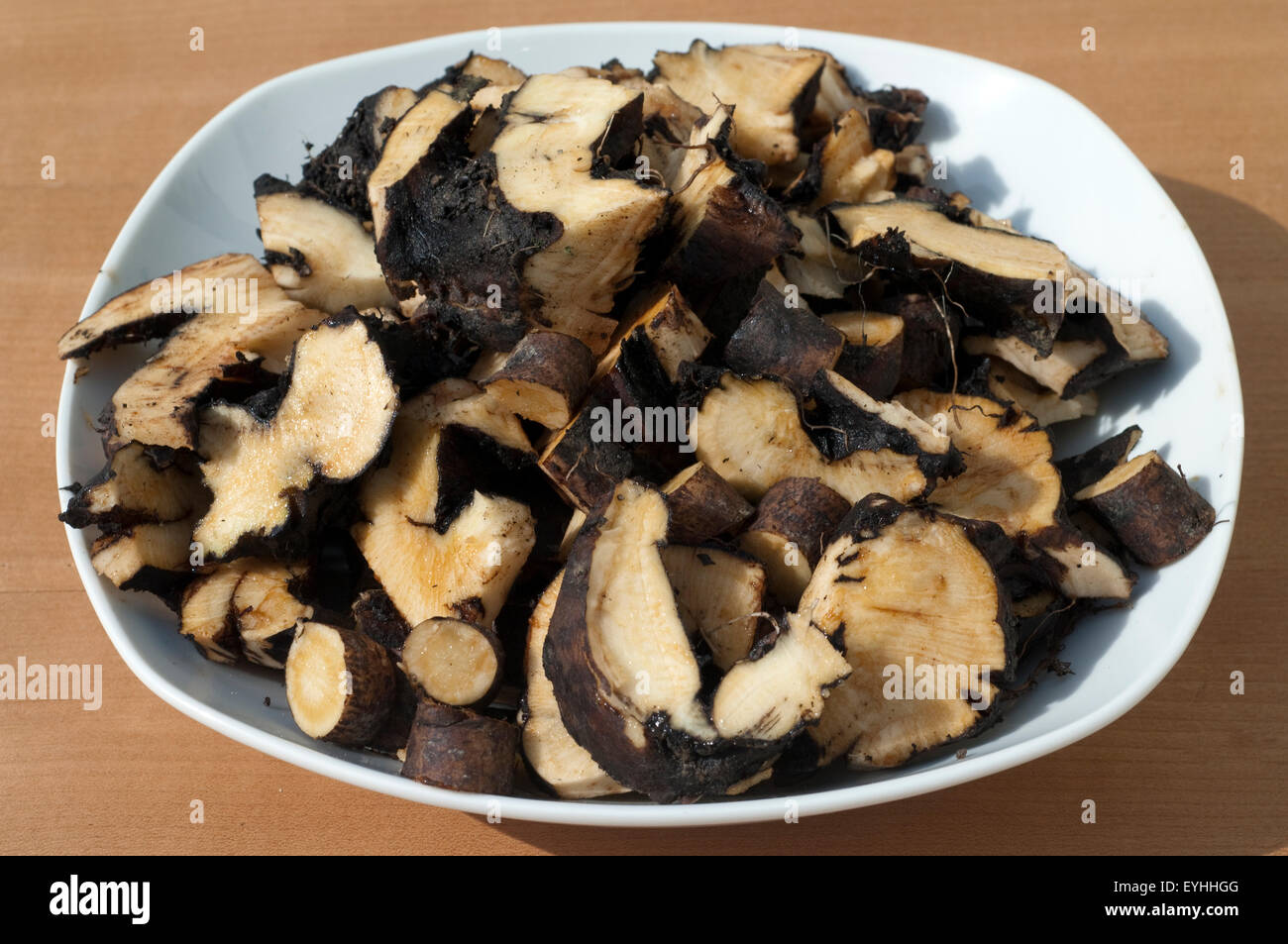 Beinwellwurzel, Symphytum; officinale Stock Photo