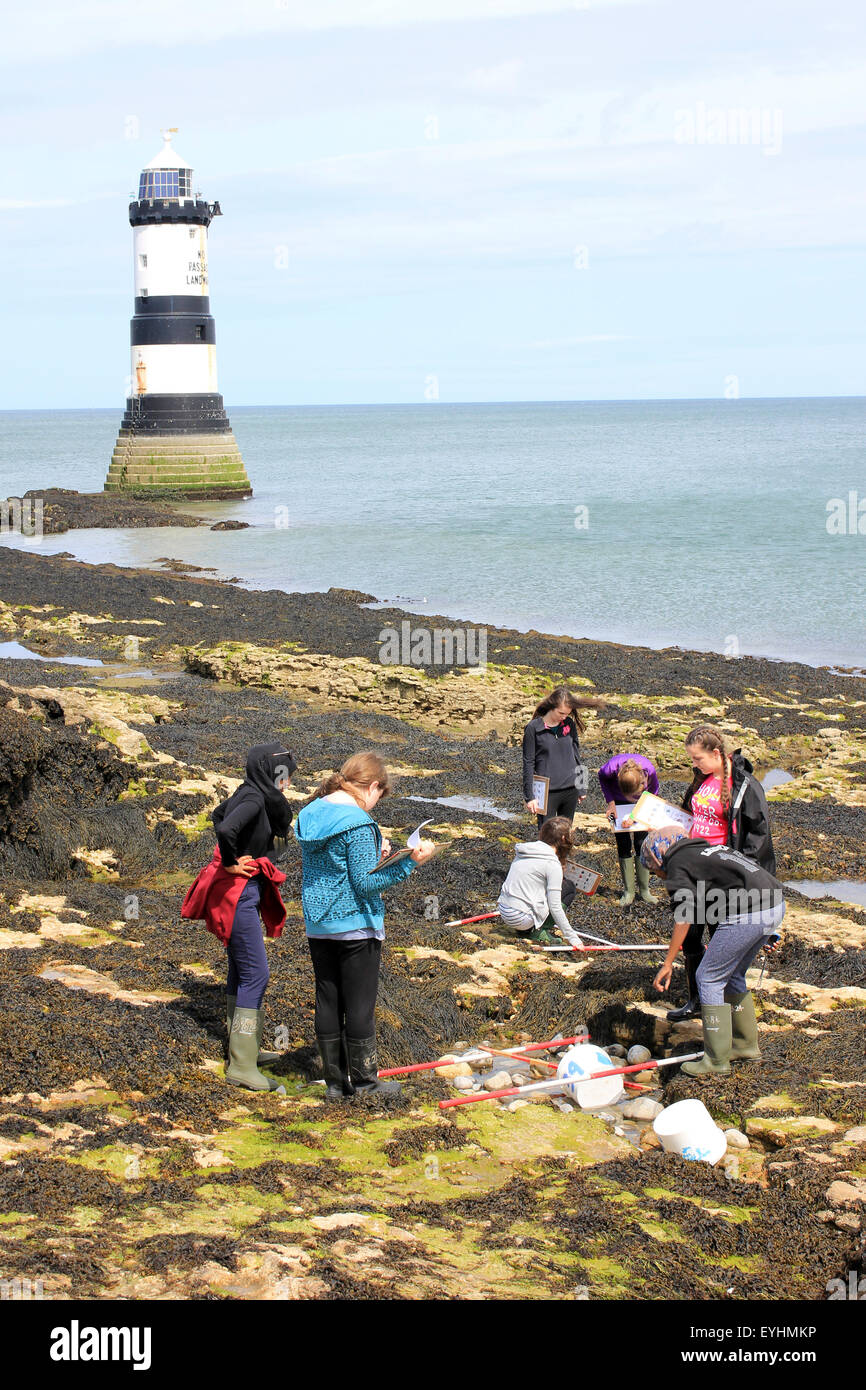A-level Students Undertaking A Quadrat Survey Of Marine Life at Penmon Point, Anglesey, Wales Stock Photo