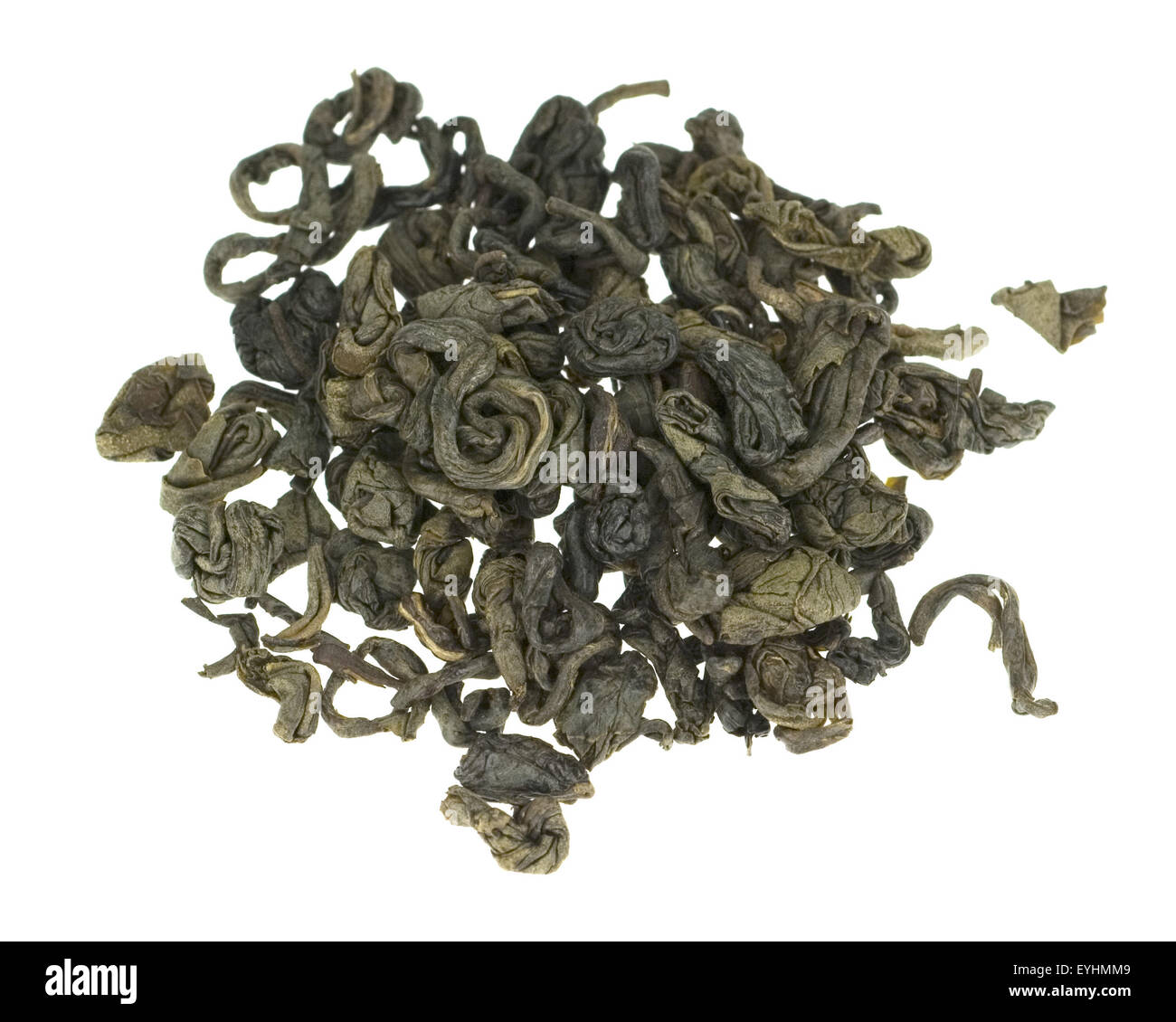 Gruener Tee; Camellia sinensis Stock Photo