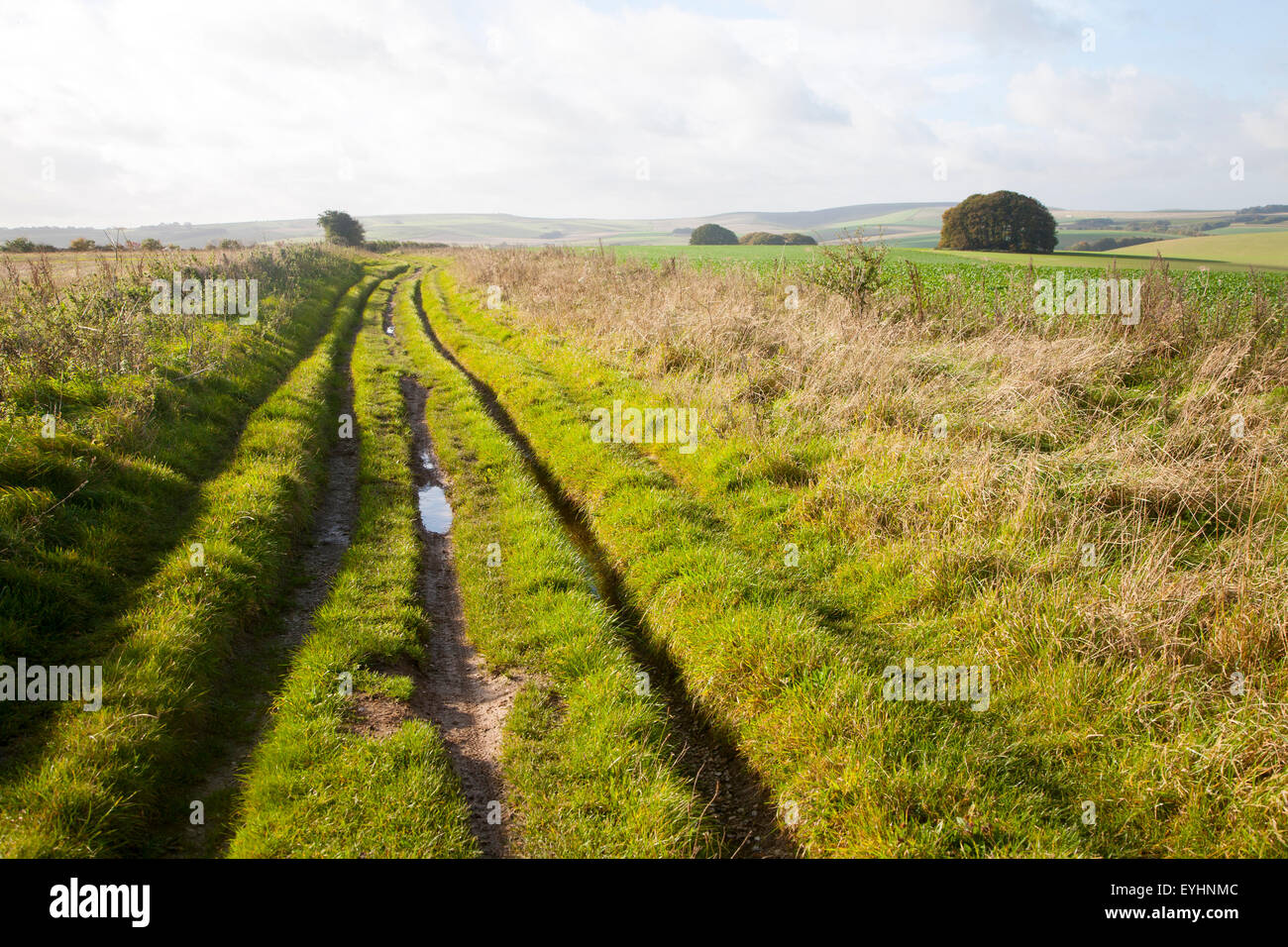 The Ridgeway long distance footpath dating from prehistory on Overton