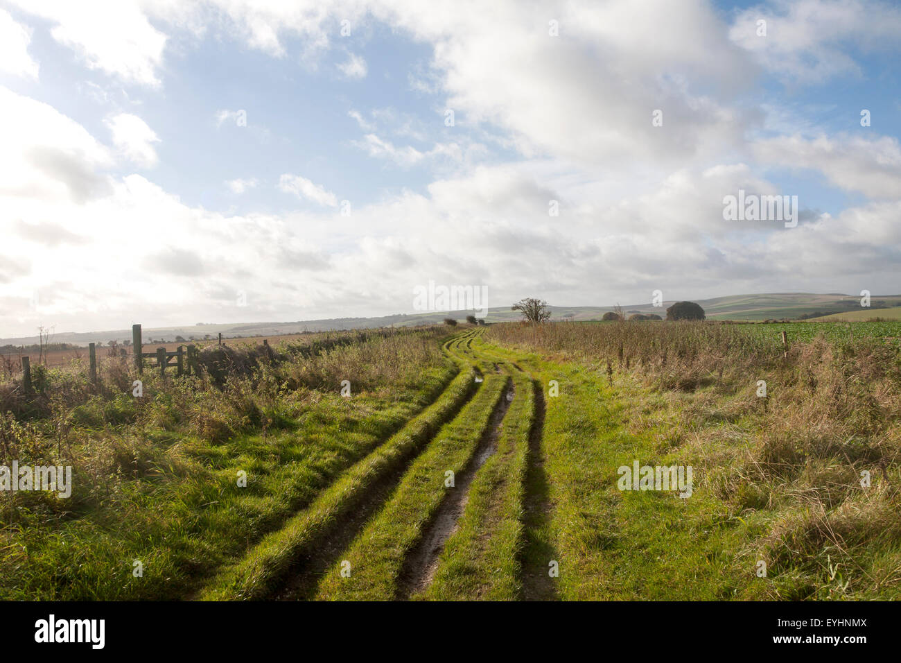 The Ridgeway long distance footpath dating from prehistory on Overton Hill, Marlborough Downs, Wiltshire, England, UK Stock Photo