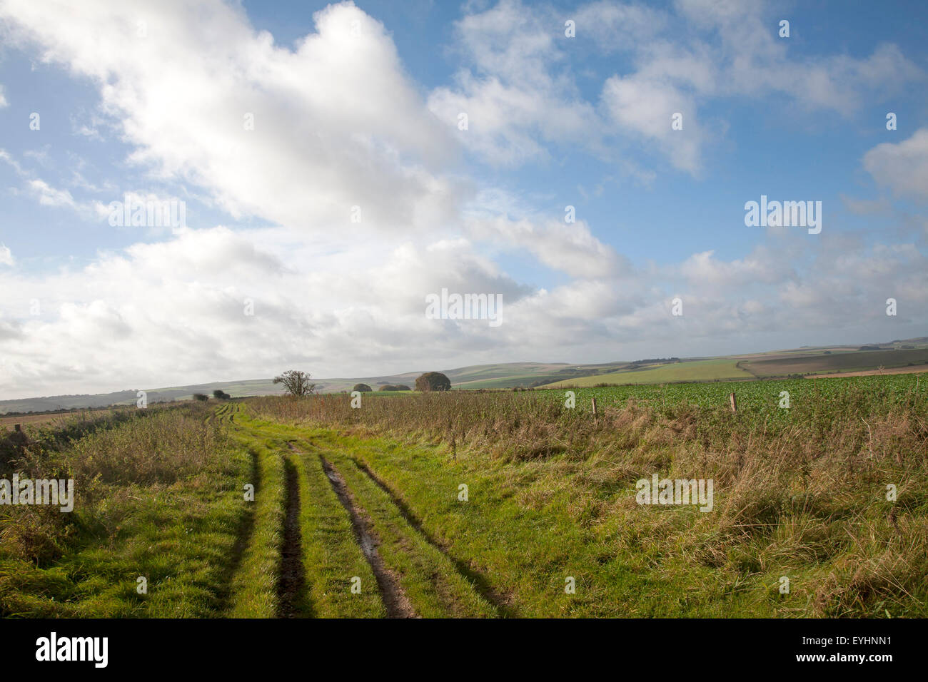 The Ridgeway long distance footpath dating from prehistory on Overton