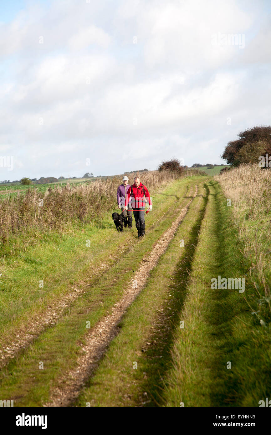 The Ridgeway long distance footpath dating from prehistory on Overton Hill, Marlborough Downs, Wiltshire, England, UK Stock Photo