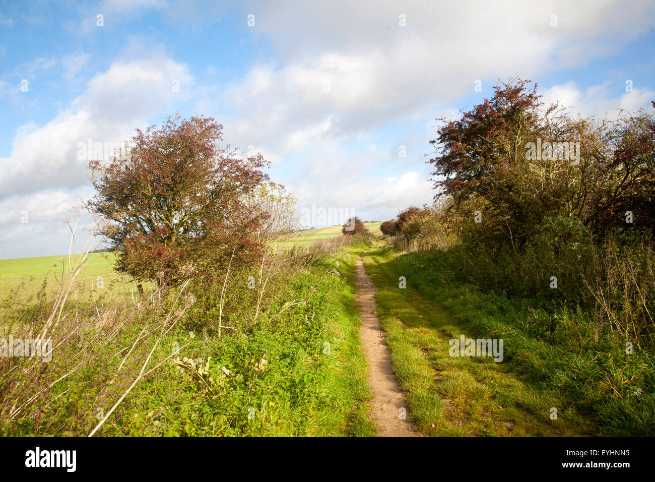 The Ridgeway long distance footpath dating from prehistory on Overton