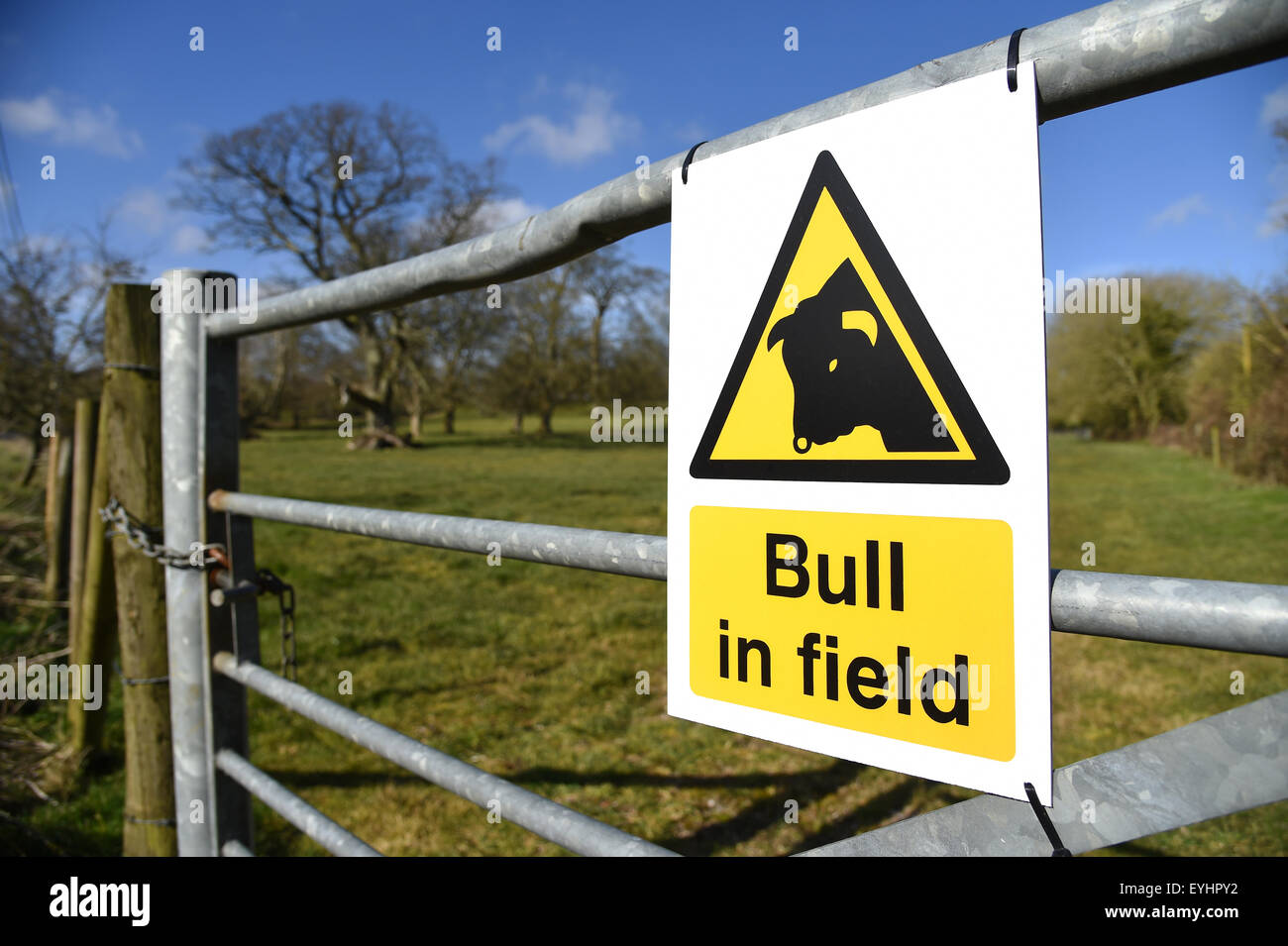 Bull in field warning sign, Britain, UK Stock Photo