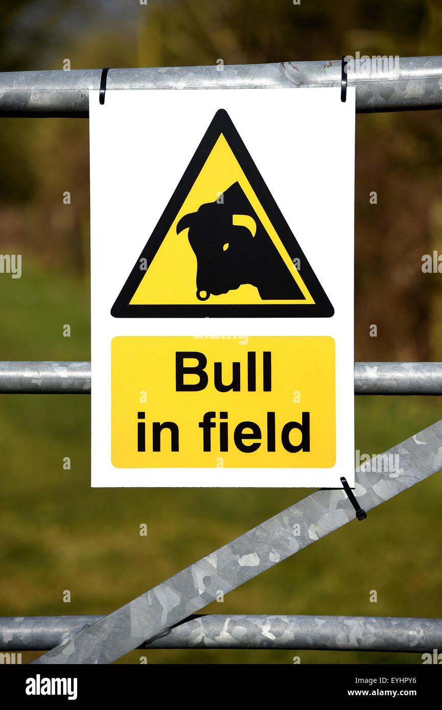 Bull in field warning sign, Britain, UK Stock Photo