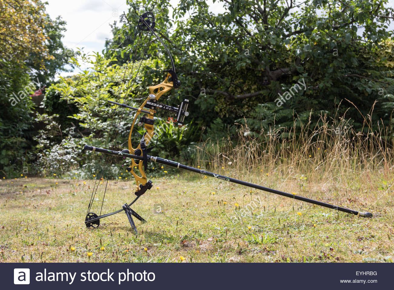 Draw A Bow High Resolution Stock Photography and Images Alamy